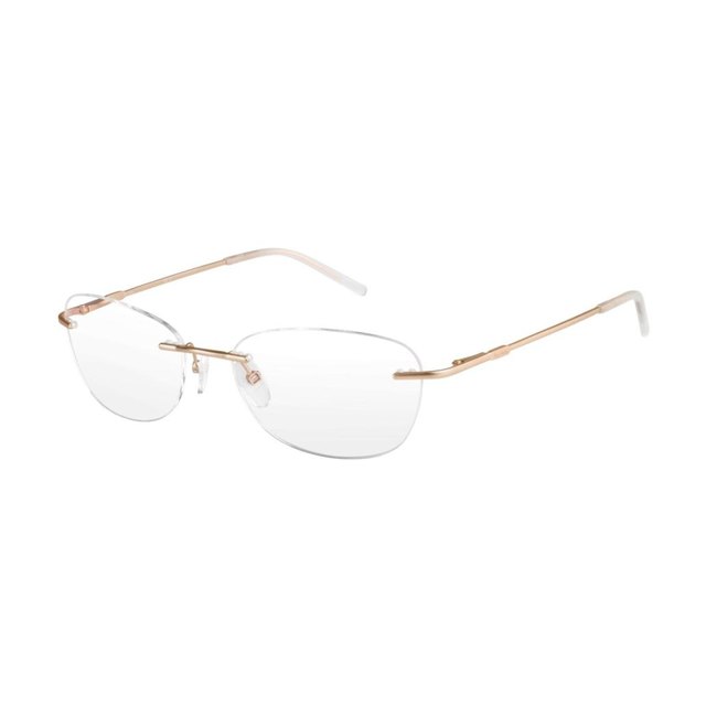 Randlose Fassung in Stahl · Pierre Cardin